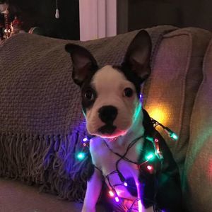 Meet your Posher, Alicia